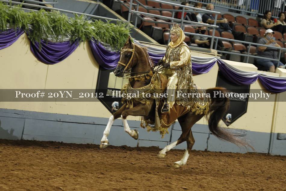 Proof 20YN_20112