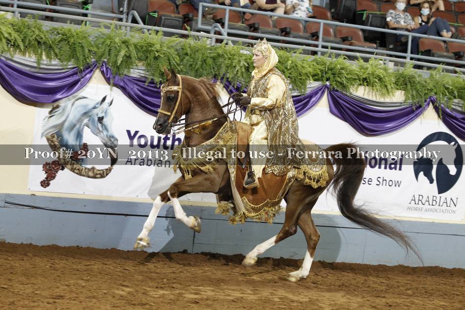 Proof 20YN_20113