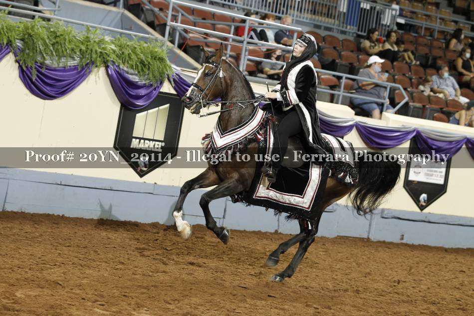 Proof 20YN_20114