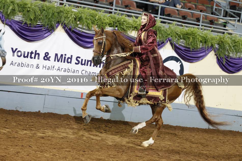 Proof 20YN_20116