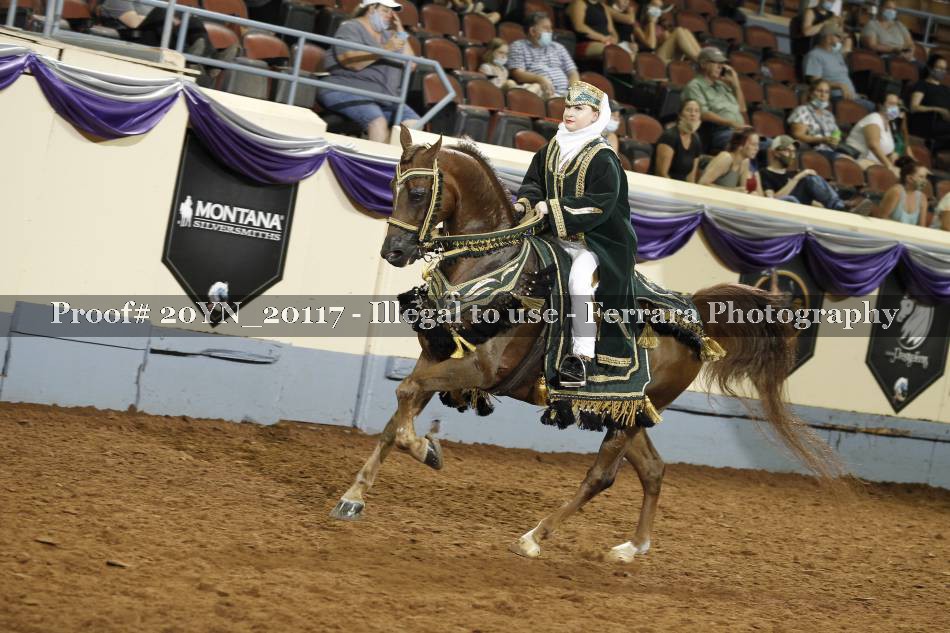Proof 20YN_20117