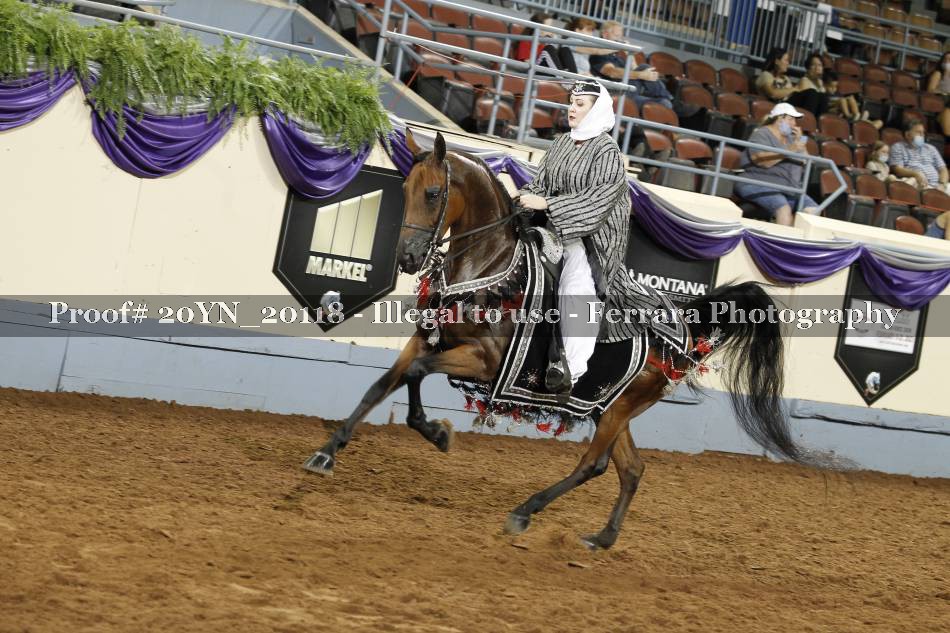 Proof 20YN_20118