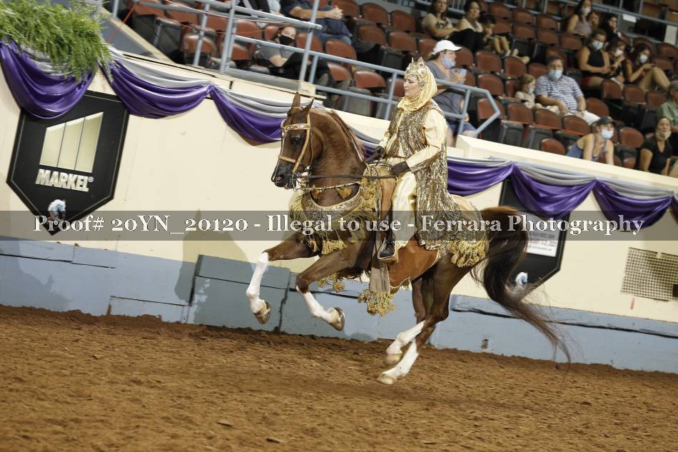 Proof 20YN_20120