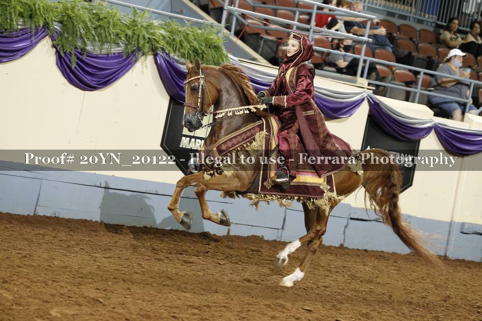 Proof 20YN_20122