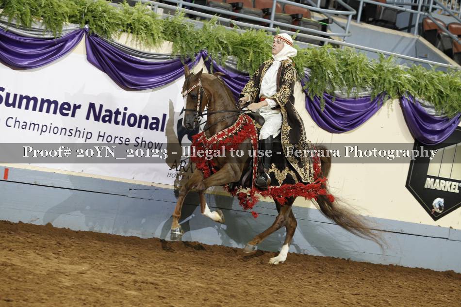 Proof 20YN_20123