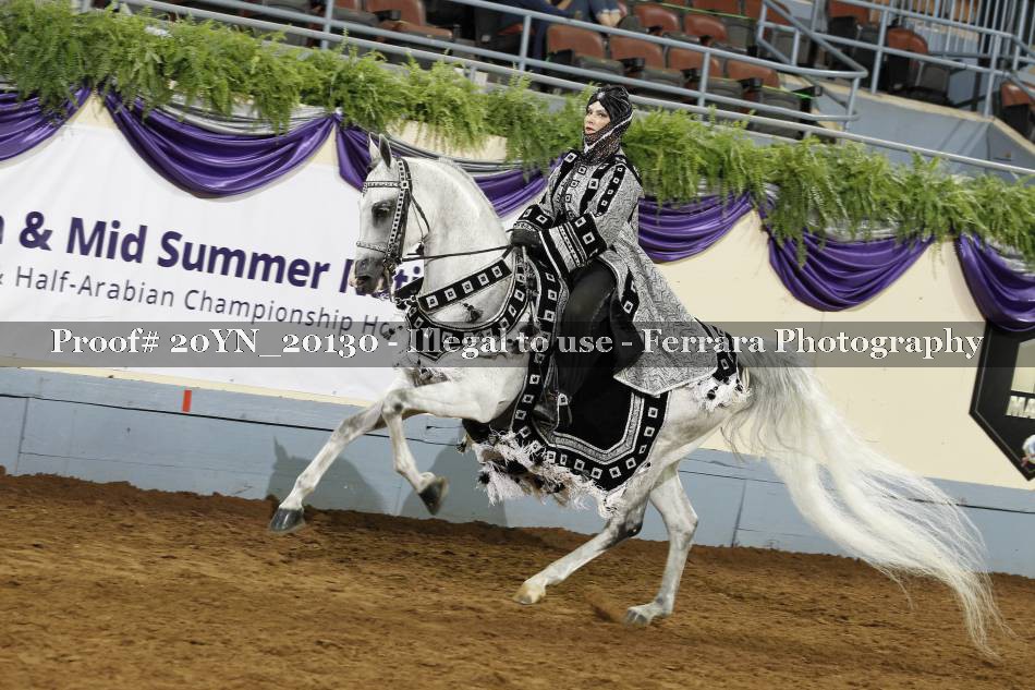 Proof 20YN_20130