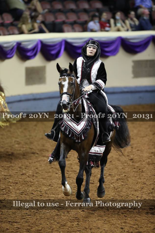 Proof 20YN_20131