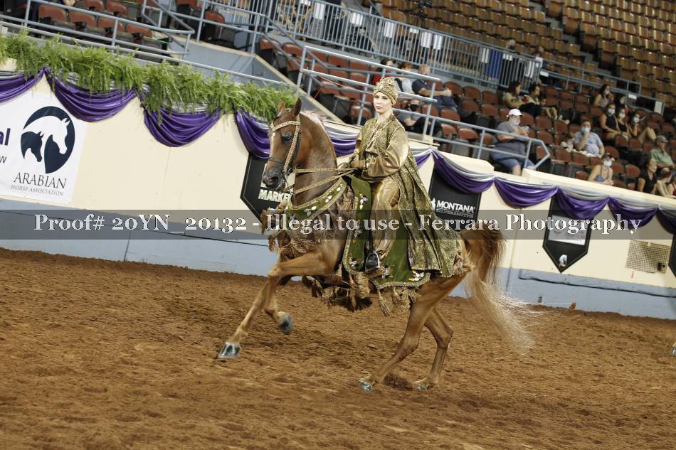 Proof 20YN_20132