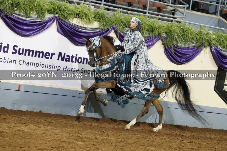 Proof 20YN_20133