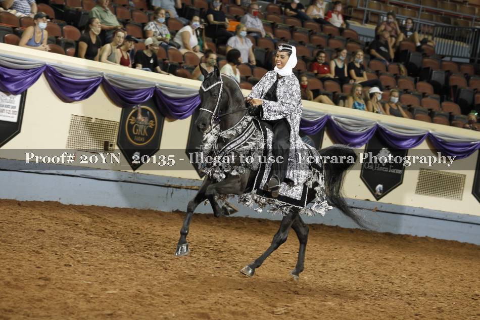 Proof 20YN_20135