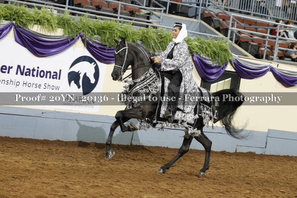Proof 20YN_20136