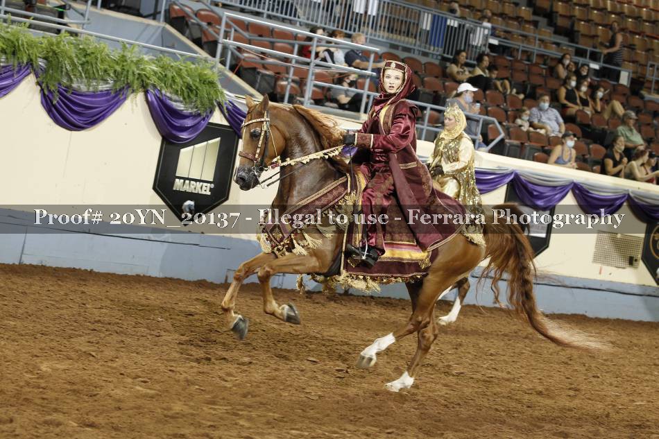 Proof 20YN_20137