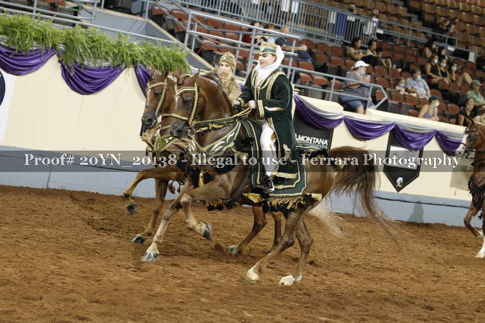 Proof 20YN_20138