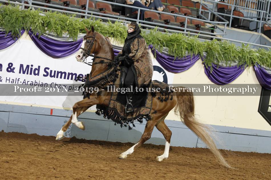 Proof 20YN_20139