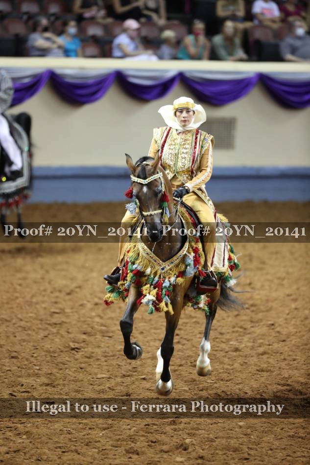 Proof 20YN_20141
