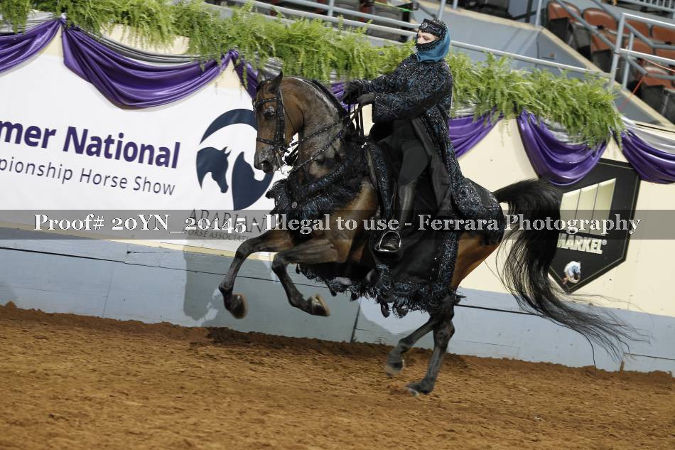 Proof 20YN_20145