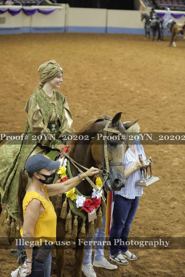 Proof 20YN_20202