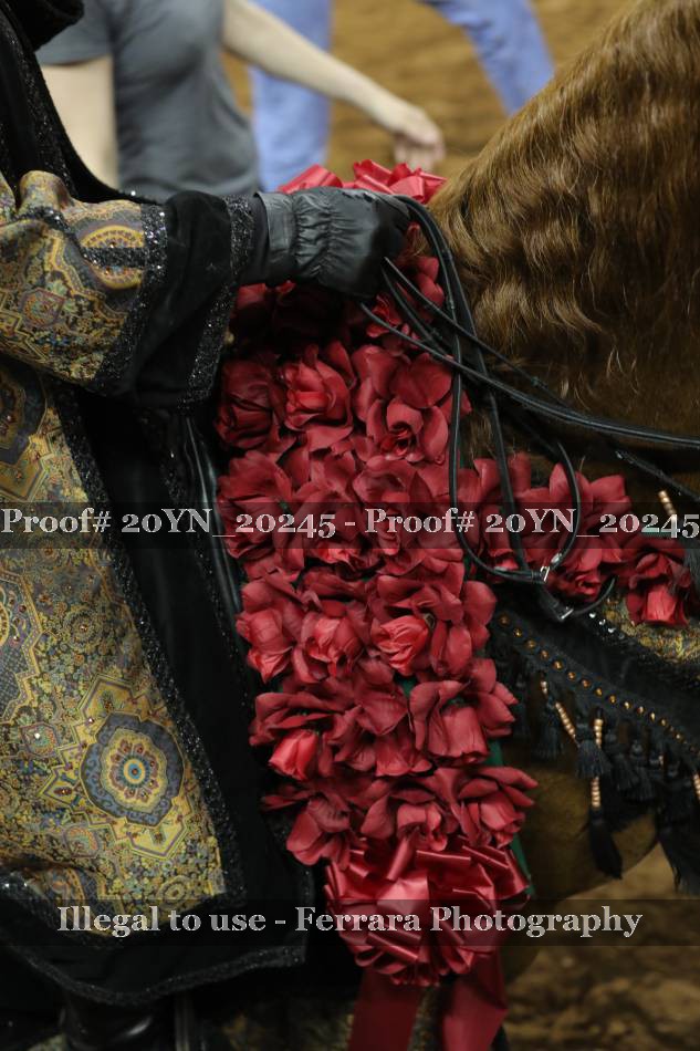Proof 20YN_20245