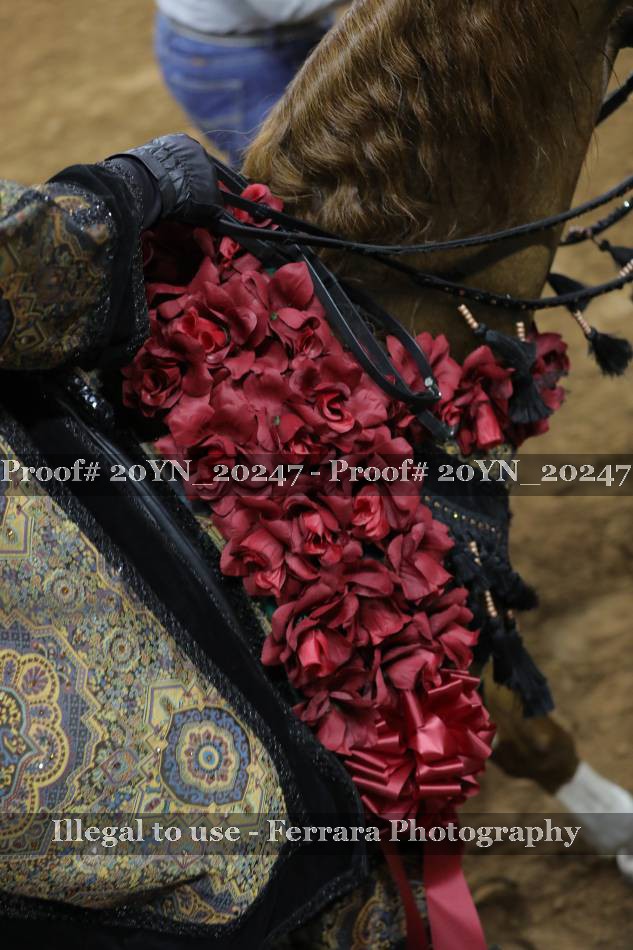 Proof 20YN_20247