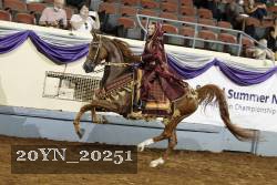 20YN_20251 proof