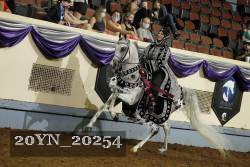 20YN_20254 proof