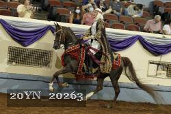 20YN_20263 proof