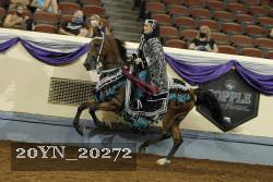 20YN_20272 proof