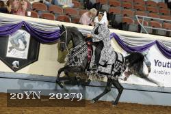 20YN_20279 proof