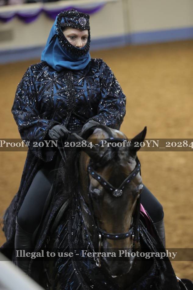 Proof 20YN_20284