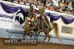 20YN_20293 proof