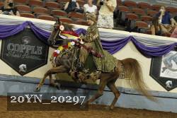 20YN_20297 proof