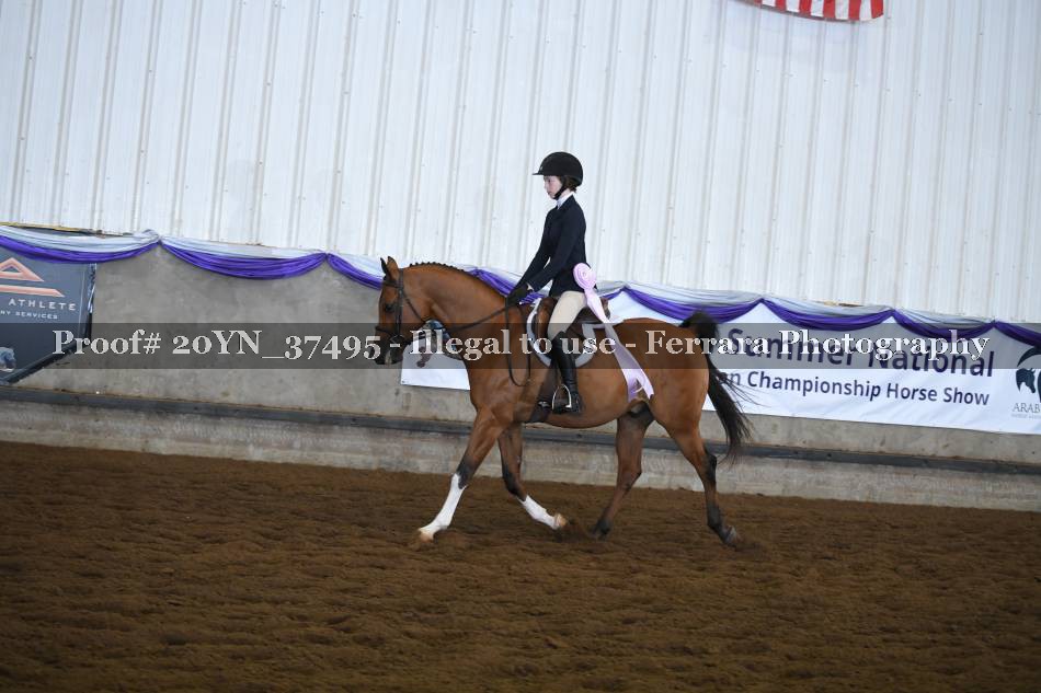Proof 20YN_37495