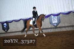 20YN_37527 proof