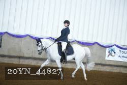 20YN_44827 proof