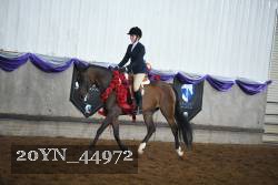 20YN_44972 proof
