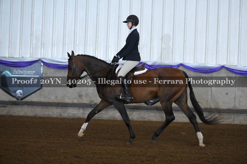 Proof 20YN_40205