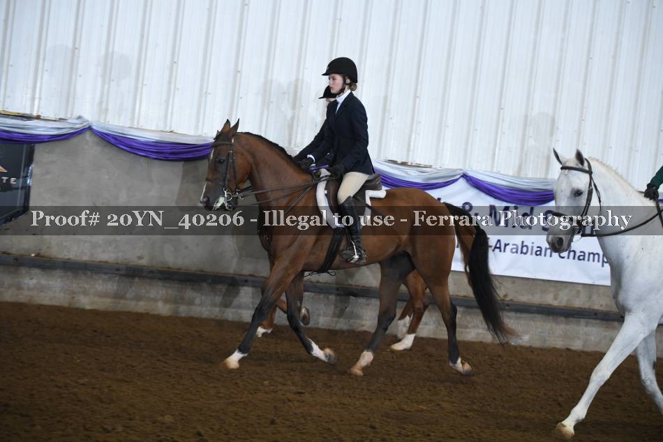 Proof 20YN_40206