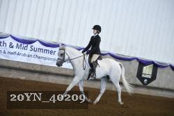 20YN_40209 proof