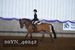 20YN_40242 proof