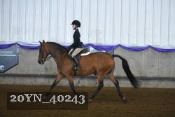 20YN_40243 proof