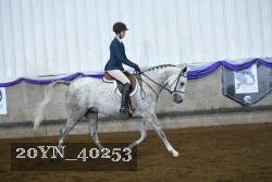 20YN_40253 proof