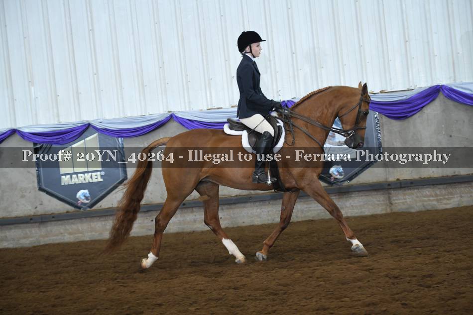 Proof 20YN_40264