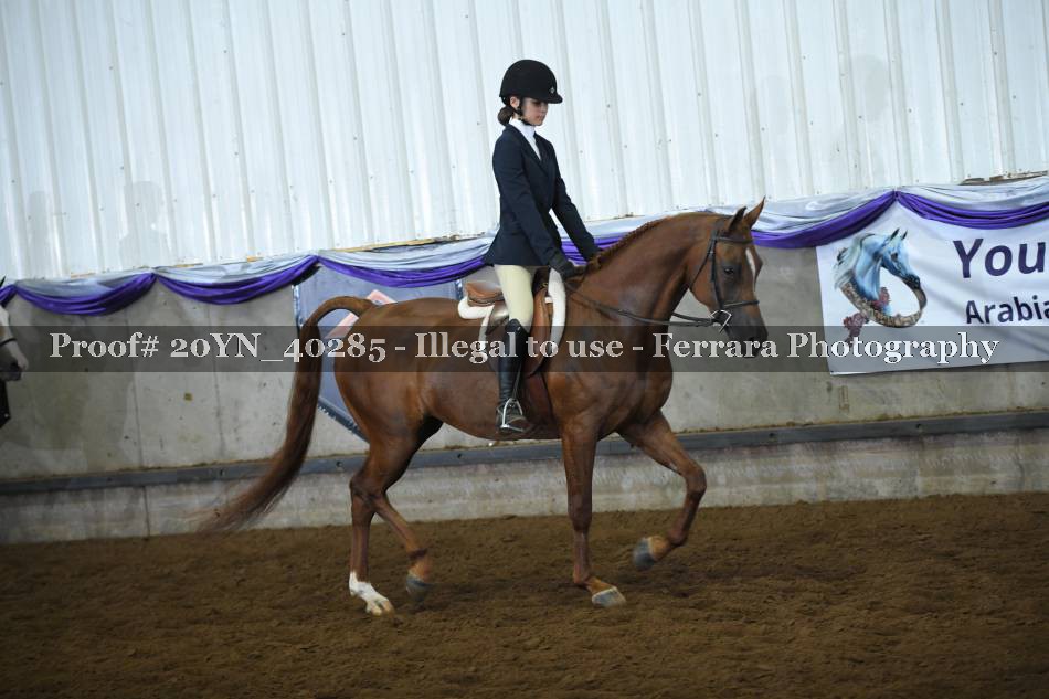 Proof 20YN_40285