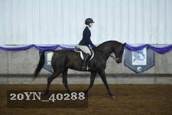 20YN_40288 proof
