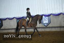 20YN_40293 proof