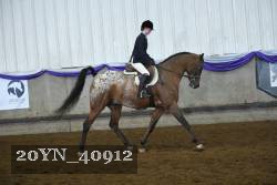 20YN_40912 proof