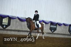 20YN_40963 proof