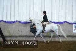 20YN_40973 proof
