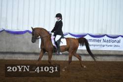 20YN_41031 proof