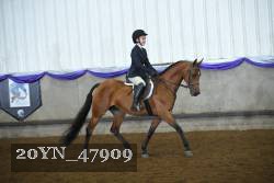 20YN_47909 proof
